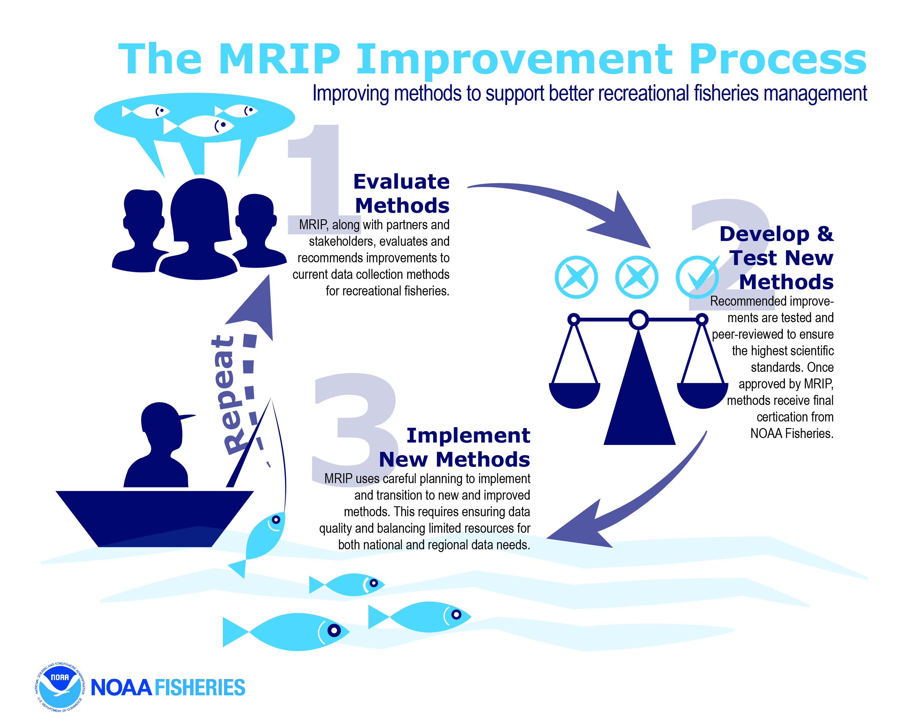 MRIP Process