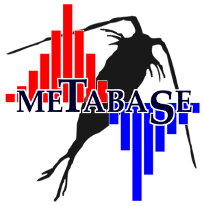 METABASE logo