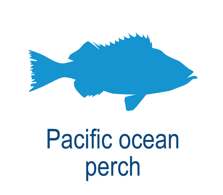 Pacific ocean perch