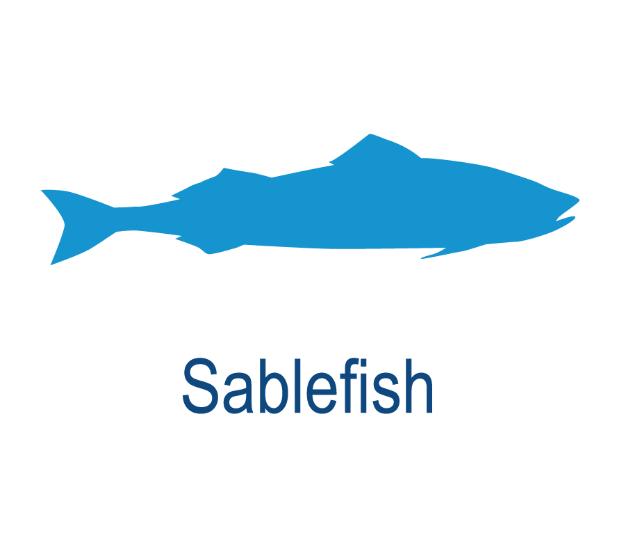Sablefish