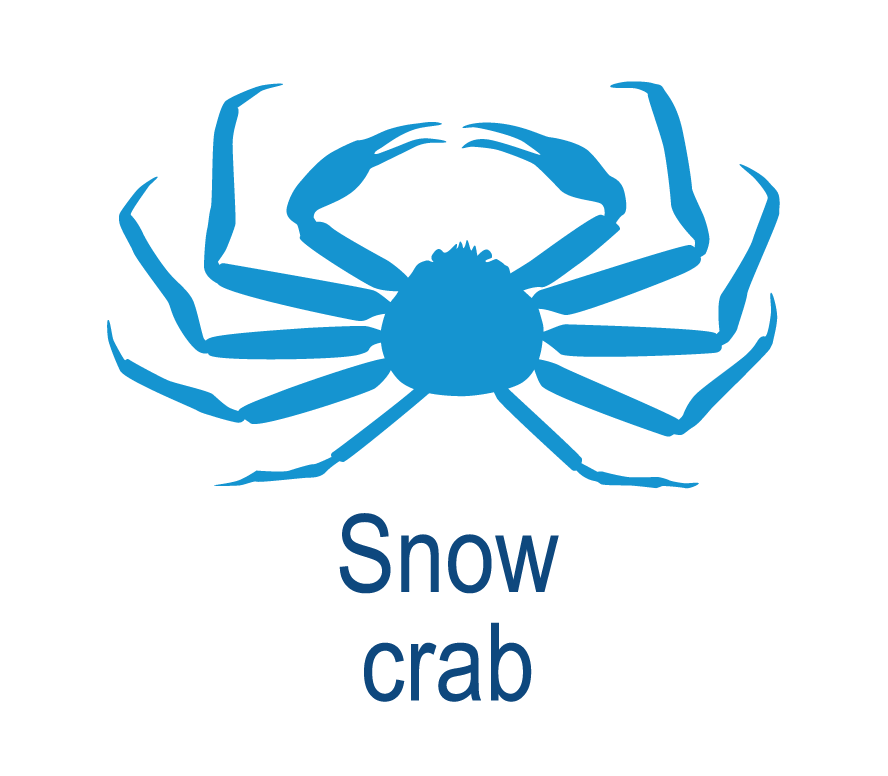 Snow crab