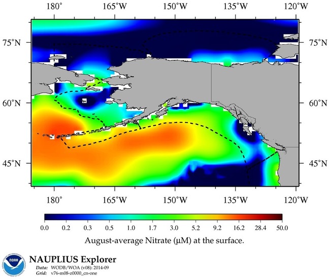 August average nitrate levels at the ocean surface.