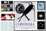 about COPEPEDIA box