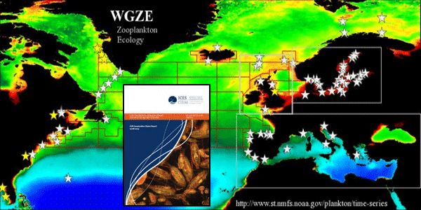 graphic showing the ICES WGZE map and status report