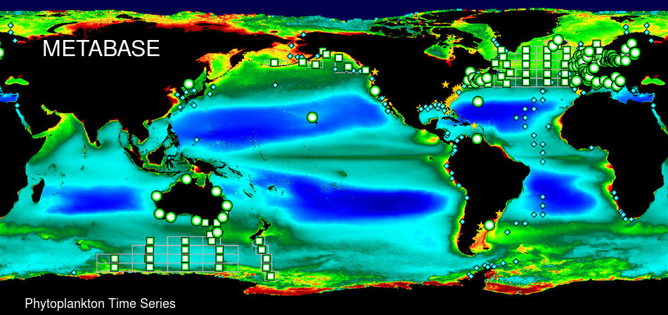 global map of phytoplankton time series locations